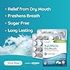 XyliMelts Dry Mouth Relief Discs Mild Mint (40 Count) – Xylitol Oral Adhering Tablets for Nighttime or Day Use, Long-Lasting Dry Mouth Relief & Saliva Support