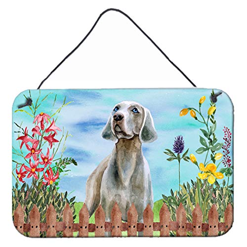 Caroline's Treasures CK1236DS812 Weimaraner Spring Wall or Door Hanging Prints Aluminum Metal Sign Kitchen Wall Bar Bathroom Plaque Home Decor, 8x12, Multicolor