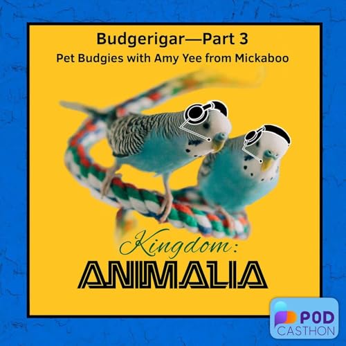 Budgerigar&mdash;Part 3: Pet Budgies // Mickaboo&rsquo;s Amy Yee (Podcasthon 2025)
