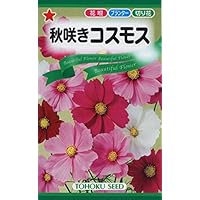 コスモスです。 Amazon.co.jp: 株式会社トーホク 秋咲きコスモス 00471 : DIY
