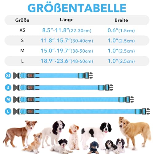Illumifun Leuchthalsband Hund Aufladbar LED Hundehalsband Wasserdichtes Leuchthalsband für kleine und große Hunde, Hundelichter für nächtliche Spaziergänge (Blau, M)