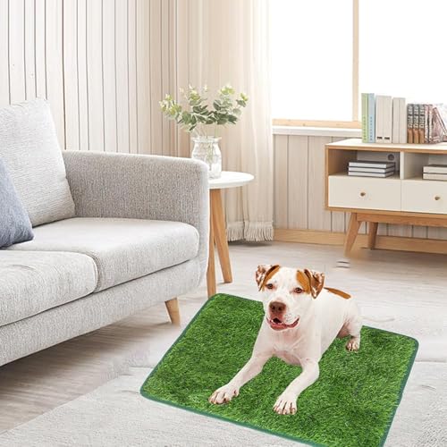 Kunstrasen Hundeklo Welpen Balkon Hundetoilette Ersetzen Rasen Welpentoilette Wiederverwendbar Training Pee Pads für Kleine Grosser ältere Hunde Hundeklo Rasen (Grün, 46x70cm)