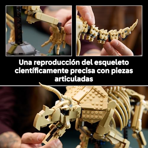 Miniatura 4 de LEGO Jurassic World Fósiles de Dinosaurio: Triceratops - Kit de Maquetas para Adultos con Minifigura de Dr. Gerry Harding - Decoración para la Estantería - Regalo Fans de Parque Jurásico - 77985
