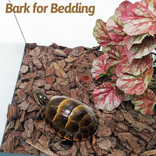 BNOSDM Reptile Pine Bark Substrate 17oz Tortoise Bedding for Habitat Natural Flat Cork Wood Bulk Terrarium Reusable Bark Pieces for Lizard, Crested Gecko, Spider, Chameleon, Ball Python, Tree Frog