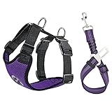 Lukovee Dog Safety Vest Harness with Seatbelt, Dog Car Harness Seat Belt Adjustable Pet Harnesses Double Breathable Mesh Fabric with Car Vehicle Connector Strap for Dog (Medium, Purple)