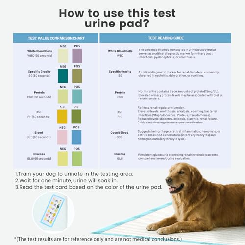 Image of Gardner Pet Ultra Absorbent Thicker Dog Pee Pads Extra Large XL 28 inchx34 inch Leak-Proof Odor-Control Blue Puppy Training Pads Full Edge-Wrapping Pad for Dogs Dogs, Puppies, Doggie, Cats, Rabbits (30&1)
