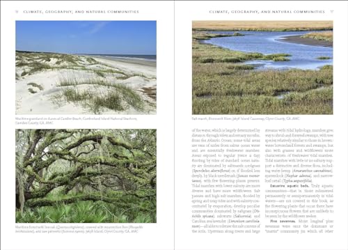 Timber Press Cotterman, Laura Wildflowers Of The Atlantic Southeast thumb #2