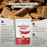 NatureHolic - Garnelenfutter Proteinfeed I Futter für Garnelen auch für Krebse geeignet I Made in Germany I Frei von Fischmehl und minderwertigen Tiermehlen I Für besseres Wachstum und Panzer Aufbau
