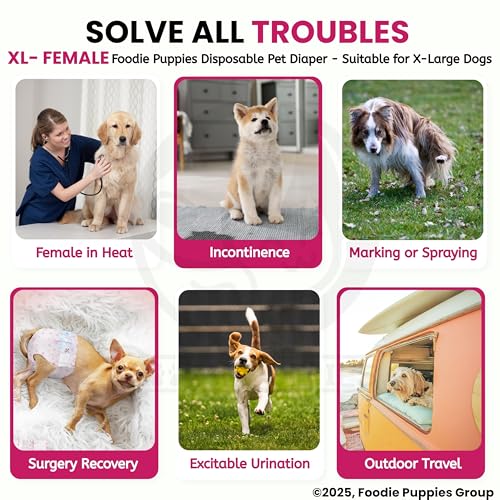 Image of Foodie Puppies Dogs Disposable Diapers for Female Dog - (10Pcs, XtraLarge) | Diaper Pants /Sanitary Cotton Underwear Nappy | Leak-Proof, Ultra-Absorbant | Daily and Travelling Purpose