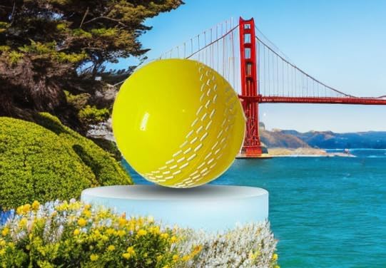 AS PVC Soft Cricket Balls, Pack of 1 | Wind Balls for Matches & Practice | Standard Size | Wind Balls | Lightweight & Water-Resistant | Ideal for All Ages-picture-22