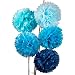 Luna Bazaar Tissue Paper Pom Poms (10-Inch, Multicolor Blues, Set of 5) - For Baby Showers, Nurseries, and Parties - Hanging Paper Flower Decorations