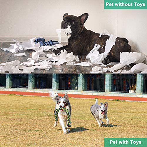 RIO Direct - Corda giocattolo per cani forti e