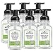 J.R. Watkins Foaming Hand Soap, Aloe & Green Tea, 6 Pack, Scented Foam Handsoap for Bathroom or  Kitchen, USA Made and Cruelty Free, 9 fl oz