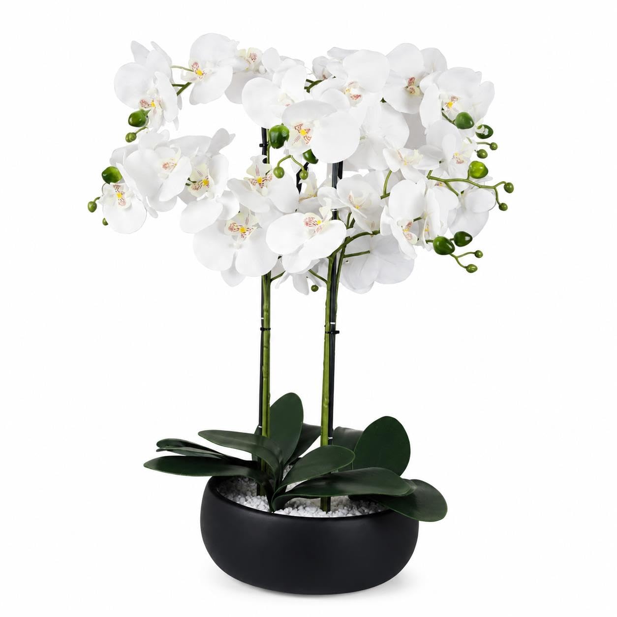60cm White Orchid Artificial Plant - Botanik Ceramic Planter