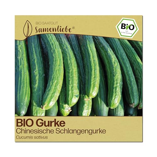 Samenliebe BIO Gurken Samen | Chinesische Schlangengurke - sehr lange asiatische - samenfestes BIO Saatgut