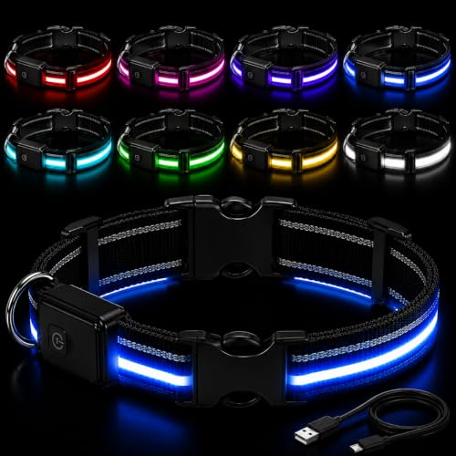 Collar LED Recargable para Perro y Gato - Talla Mediana, Impermeable, 7 Colores, Ajustable, con Cable Cargador