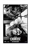 Kerry dober horror The Exorcist Believer Movie Poster Cool Wall Decor Art Print Posters for Room Aesthetic - Matte canvas Poster Frameless Gift 11 x 17 inch(28cm x 43cm)