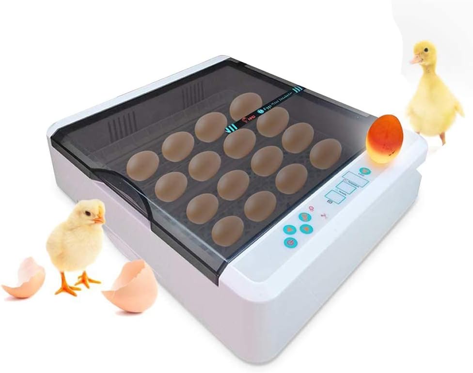 36 Egg Incubators for Hatching Eggs Automatic Turning Poultry Hatcher Temperature Control with Light for Quails Chickens Ducks Goose Birdsl with Light for Quails Chickens Ducks Goose Birds