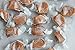 Sea Salt Caramels - Lovely Candy Co., 6 oz. Bag – Old Fashioned Style, Authentic, Real Sugar, Salt Caramel, Soft and Chewy Candy – Homemade by real people – Non GMO, No Soy, HFCS Free, Kosher, GF Certified Made in the United States. Great gift for anytime or occasion.