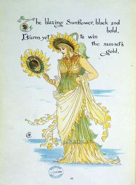 Toile fleur de tournesol personnifiée par Walter Crane 60x90cm