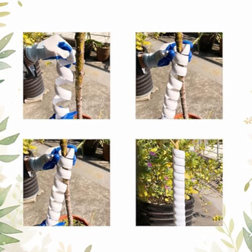 Protection de tronc d'arbre spirale plastique PP extensible 3 tailles