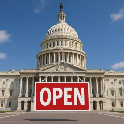 America is Back Open, What Not? Podcast Por  arte de portada