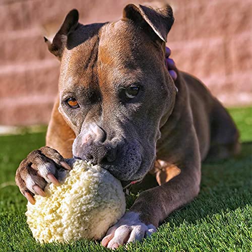 Barkbox Scented Food Themed Dog Toys & Chews, Tough Rubber & Nylon Super Chewer Treat Dispensing Puzzle Toys, Balls, & Teething Toys For Small, Medium, & Large Dogs & Puppies, Smash Potato #TOP5