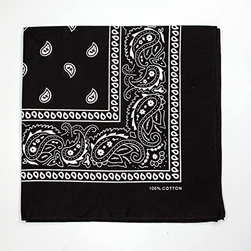 Triumphal 100% Cotton Bandanas/Scarves For Men & Women Paisley Printed 12Pcs #TOP3