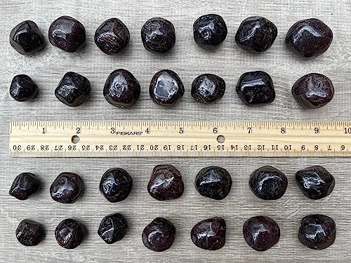 Image of GAF TREASURES 1 /2 LB Garnet Tumbled Stones, Polished Garnet Gemstone, Garnet Healing Crystals (Garnet)
