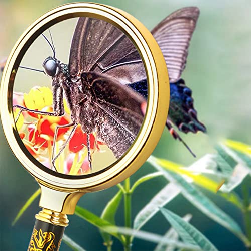 10x Lente d'ingrandimento 80mm portatile