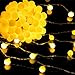 Produktbild Aookey Lichterkette Batterie 80 LED Kugeln Lichterkette Batteriebetrieben 10 M Globe Lichterkette Außen Innen LED lichterkette für Weihnachten,Hochzeit, Party,Garten,Zimmer,Innen, Außen Lichterkette