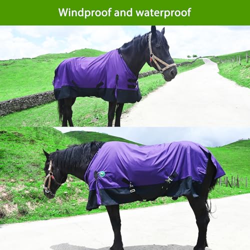 Image of Adjustable Waterproof Horse Sheet | Horse Blankets for Real Horses|Perfect Rainy Day Protection(66 inch, Purple)