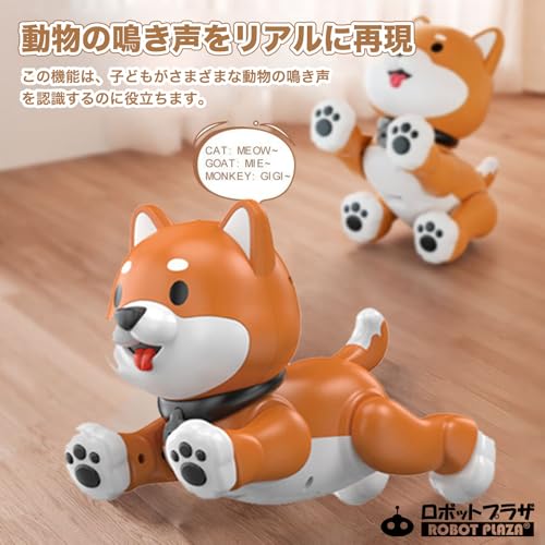 ユーキャンロボット ロボットプラザ ロボット犬 柴犬サムネイル6