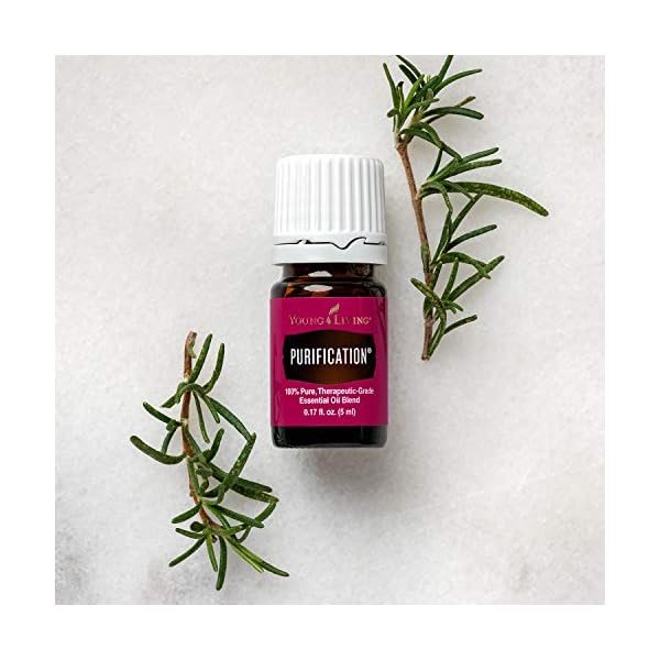 Young Living Purification Essential Oil 5ml by Young Living – Bild 4
