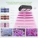 VIVOSUN 300W LED Grow Light Full Spectrum with Double Switch for Hydroponic Indoor Plants Growing Veg and Flowering