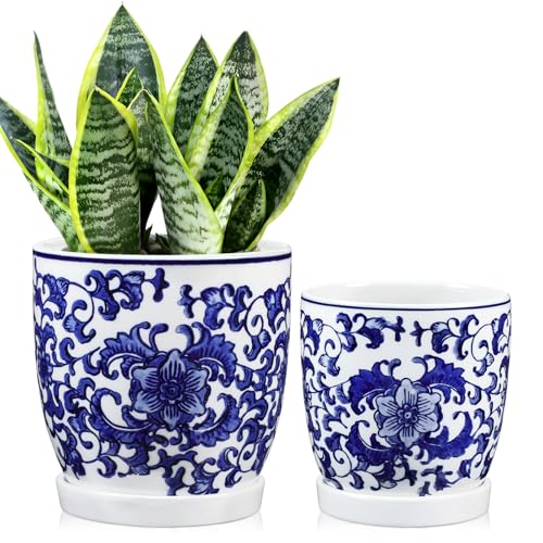 2er-Set Blau und Weiß Blumentopf Keramik Pflanztöpfe Sukkulentententöpfe mit Drainagelöchern und Untersetzern Kleiner Keramik-Pflanztopf für Sukkulenten Kaktus Indoor Outdoor Garten Fensterbank