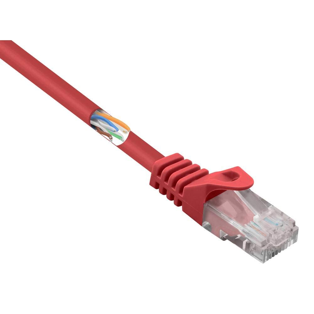 Basetech BT-2304657 RJ45 Network Patch Cable CAT 5e U/UTP 25.00 cm Red with Latch Protection