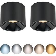 12W 2pack Mini Spotlights Dimmable 5CCT 2700K-6000K Selectable,CRI 95+,and 1pack Square Led Recessed Light 8 inch Dimmable with Junction Box,3CCT 3000K/4000K/6000K Selectable,1600LM CRI90+18W