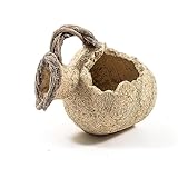 anfora greca Questo porta piante a forma di anfora è perfetto per abbellire il tuo giardino/balcone, insistendo sulle forme e suoi colori antichi.