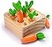 Ancaixin Montessori Toys for Babies 6-12 Months, Wooden Toys for 1 Year Old Boys and Girls, Educational Carrot Harvest Toy for Toddlers, Shape Sorting Matching Puzzle, Developmental Birthday Gifts