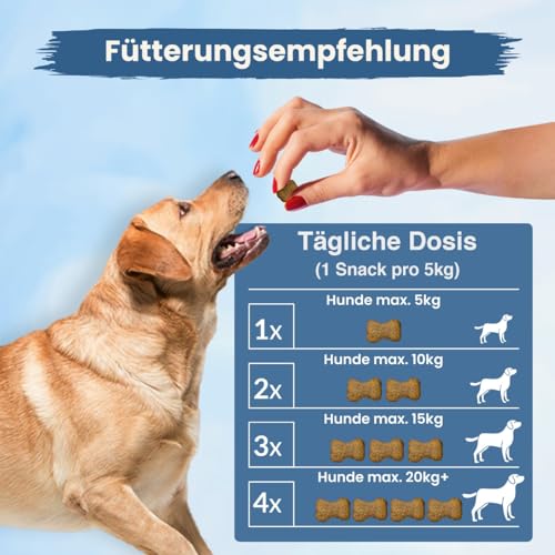 MC-Royal® Hundeleckerli für Hunde mit Probiotika, 250g [100% natürliche Inhaltsstoffe] für Darmsanierung, Verdauung, Entwurmung, Darmflora aufbauen, Kautabletten