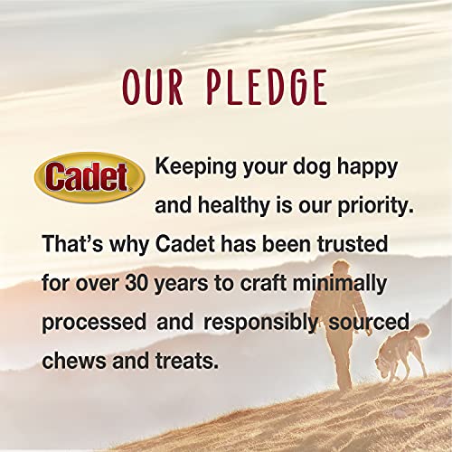 Cadet X-Small Bully Sticks For Dogs - All-Natural, Long-Lasting Grain-Free Dog Chews - Bully Sticks For Small Dogs - Dog Treats For Aggressive Chewers, X-Small (8 Oz.) #TOP7