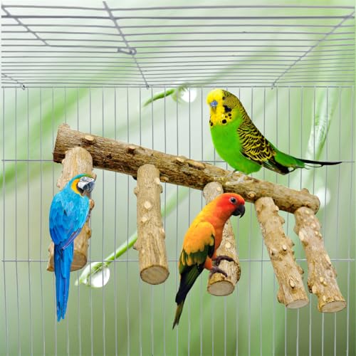 Image of Parrot Wood Stand,10 Inch Long Bird Cage Wood Perch Toys, Natural Bird Ladder for Small & Medium Parrots, Monk Parakeets, Cockatiels,Sun Conure, Green Cheeks, Lovebirds,Budgie