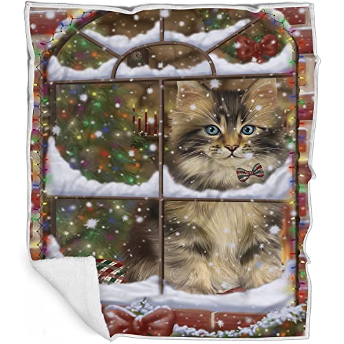 Doggie of the Day Maine Coon Cat Blanket - Please Come Home for Christmas - Super Soft & Warm Pet Theme for Sofa or Bed, Warm Fleece, Sherpa or Woven Material BLNKT157325 (60x80 Fleece)