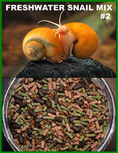 Super Freshwater Snail Mix #2 - Snail,Shrimp,Fish & Crayfish Food (4oz)- ABF2