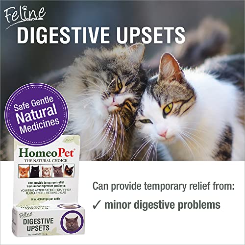 image for HomeoPet Feline Digestive Upsets, Natural Cat Digestive Support, Diges
