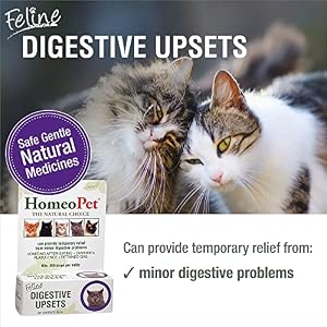 HomeoPet Feline Digestive Upsets, Natural Pet Digestive Support for Cats and Kittens, Safe and Natural Cat or Dog Medicine, 15 Milliliters HomeoPet Feline Digestive Upsets, Natural Pet Digestive Support for Cats and Kittens, Safe and Natural Cat or Dog Medicine, 15 Milliliters
