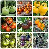 50 piezas semillas de tomate, semillas de tomate, Comprar semillas de hortalizas, plantas de hortalizas. comprar plantas de tomate semillas orgánicas hortalizas semillas de hortalizas