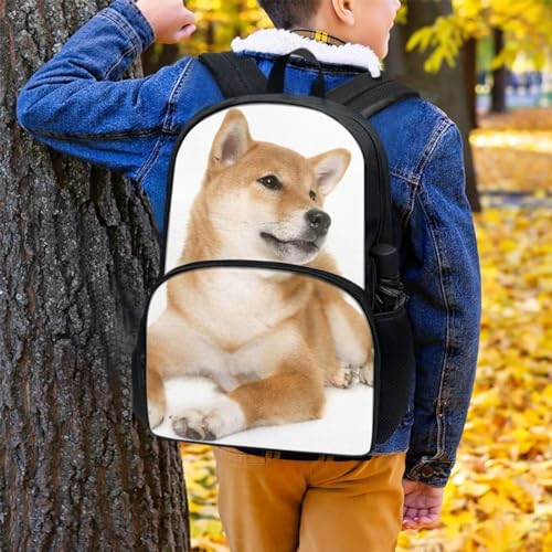 Shiba Inu Brown Backpack for Kids Teens School Bookbag Lightweight Casual Daypack Backpack3