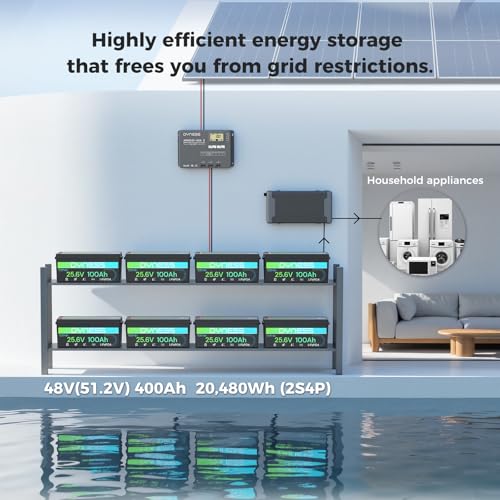 Image of Dyness 24V 100Ah LiFePO4 Lithium Battery with Bluetooth, Deep Cycle Rechargeable Battery with Low-Temp Protection, 2560W Max for Off-Grid Solar, RV, Camper, Trolling Motor, Home Use